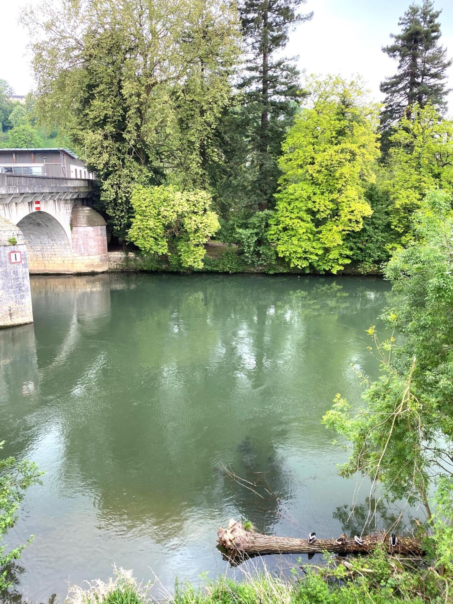 Confortable T2 Sur Les Rives De La Charente Angoulême Exteriér fotografie
